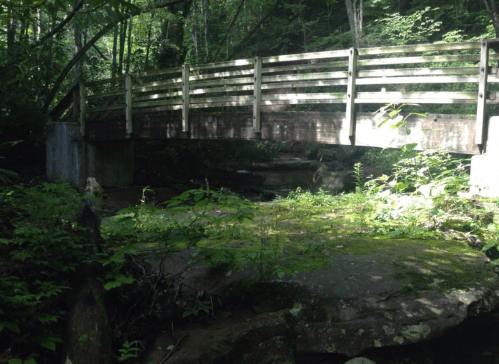 A wooden bridge spans a small stream in a lush, green forest, surrounded by trees and moss-covered rocks.