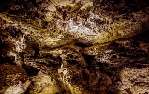 Close-up of textured rock surface with intricate patterns and earthy tones, illuminated by soft light.