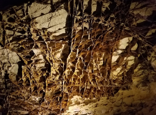 Intricate rock formations with a web-like texture, illuminated in warm tones, creating a dramatic cave ceiling.