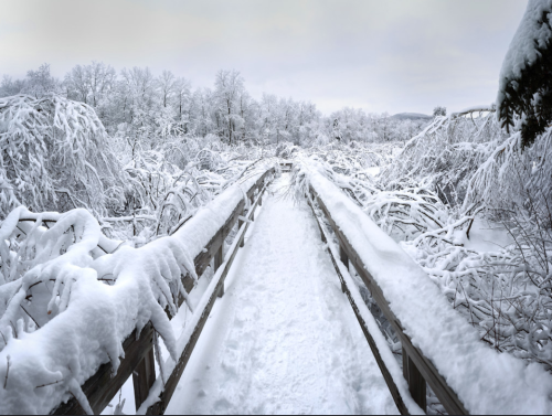 A snow-covered wooden bridge leads through a winter landscape of trees and branches blanketed in white snow.