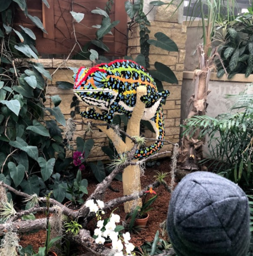 A colorful chameleon sculpture made of LEGO bricks perched on a tree branch in a lush indoor garden setting.