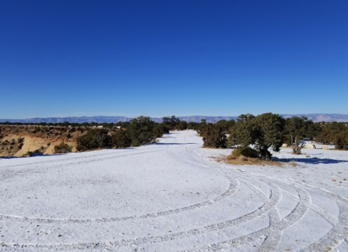 A snowy landscape with tire tracks, scattered trees, and a clear blue sky in the background.