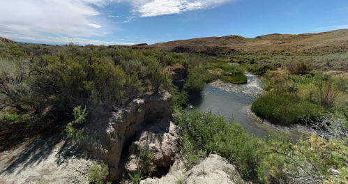 A serene landscape featuring a winding creek surrounded by lush greenery and rolling hills under a clear blue sky.