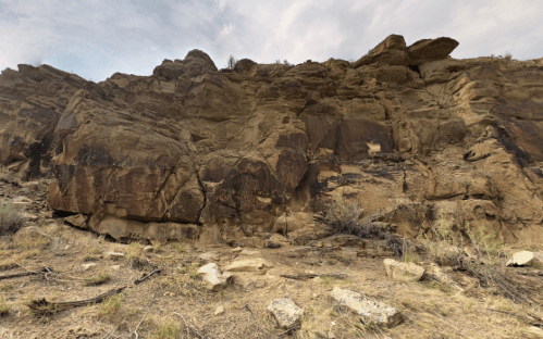 Rocky cliff face with ancient petroglyphs, surrounded by sparse vegetation and scattered stones. Overcast sky above.