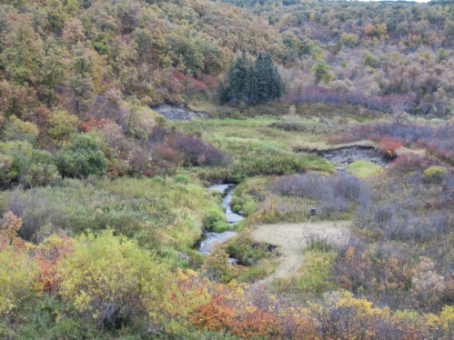 A scenic view of a lush valley with a winding stream, surrounded by trees and colorful autumn foliage.