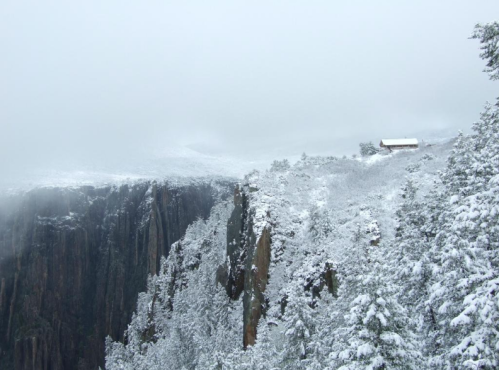 A snowy landscape with a cliff edge and a small cabin, surrounded by fog and pine trees.