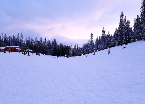 A snowy landscape with people enjoying winter activities, surrounded by tall evergreen trees and a pastel sky.