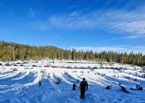A snowy landscape with people sledding and playing, surrounded by evergreen trees and parked cars in the background.