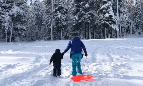 A person and a child walk through snowy terrain, holding hands, with a bright orange sled beside them. Pine trees in the background.