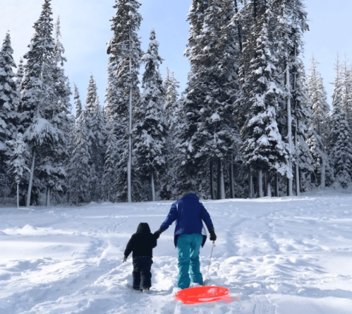 A person and a child walk hand in hand through a snowy landscape, surrounded by tall evergreen trees.