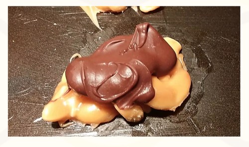 A close-up of a chocolate-covered peanut butter treat, with a smooth, glossy texture.