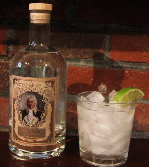 A bottle of gin next to a glass filled with ice and a lime wedge, set against a brick wall.