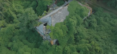 An aerial view of a dilapidated building overgrown with dense green vegetation.