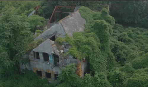 An abandoned building overgrown with lush green vines and vegetation, surrounded by trees.