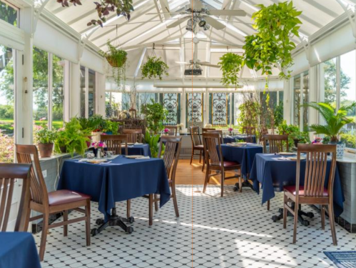 Bright, airy restaurant with tables set for dining, surrounded by greenery and large windows.