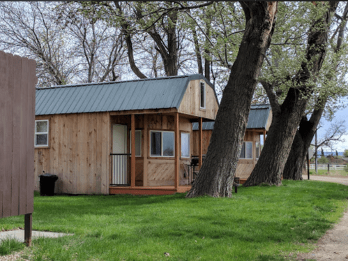 Two wooden cabins with metal roofs nestled among trees, set on a grassy area.