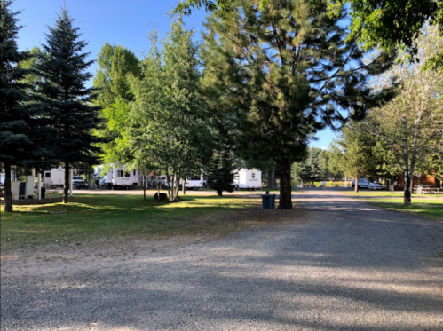 A gravel road lined with trees leads to a campsite with RVs and green grass under a clear blue sky.