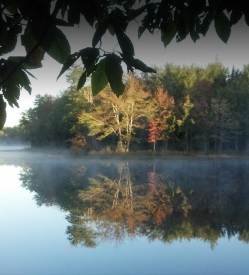 A serene lake reflecting colorful trees and mist, framed by leaves in the foreground.