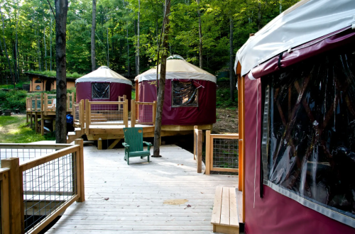 Wooden walkway leading to red yurts in a forested area, surrounded by trees and outdoor seating.