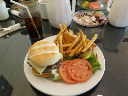 A plate with a hamburger, lettuce, tomato slices, and crispy fries, alongside a glass of cola.