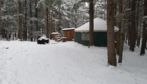 A green yurt surrounded by snow-covered trees, with a wooden shed and outdoor furniture nearby.