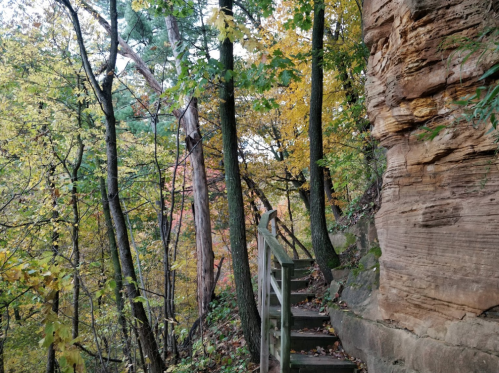 A wooden staircase winds through a forest of colorful autumn trees beside a rocky cliff.