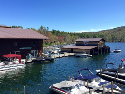 A scenic lakeside view featuring boats docked at a marina, surrounded by trees and a clear blue sky.