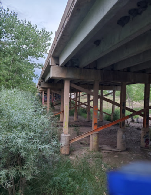 Underneath a concrete bridge supported by pillars, surrounded by greenery and graffiti on the structure.