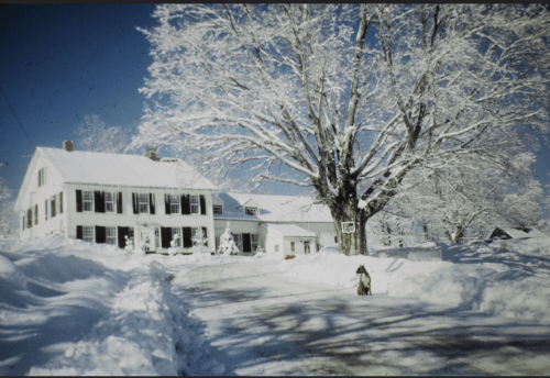 A snowy landscape featuring a large white house and a tree, with a dog walking on a snow-covered path.