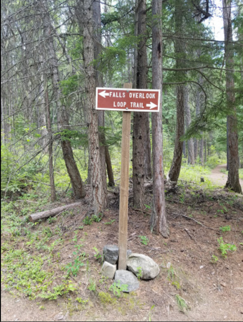 Wooden signpost in a forest pointing left to "Falls Overlook" and right to "Loop Trail." Surrounded by trees and rocks.