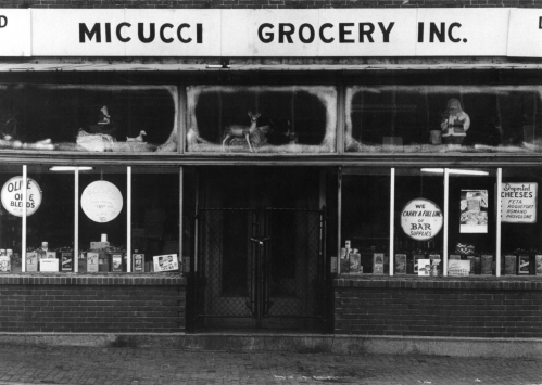 Black and white photo of Micucci Grocery Inc., featuring a storefront with signs and window displays.