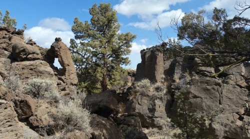 Rocky landscape featuring unique rock formations, sparse vegetation, and a tree against a blue sky with clouds.