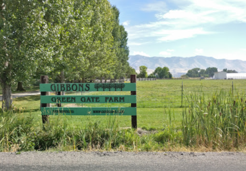 Sign for Gibbons Green Gate Farm, surrounded by trees and fields, with mountains in the background under a clear sky.