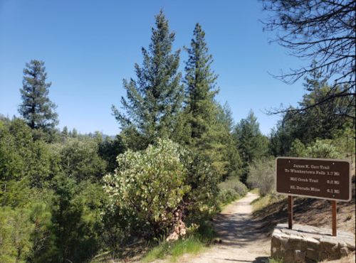 A trail sign points to various hiking paths surrounded by tall trees and greenery on a sunny day.