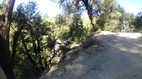 A scenic view of a forested area with trees and a rocky outcrop along a dirt path. A person is walking in the distance.