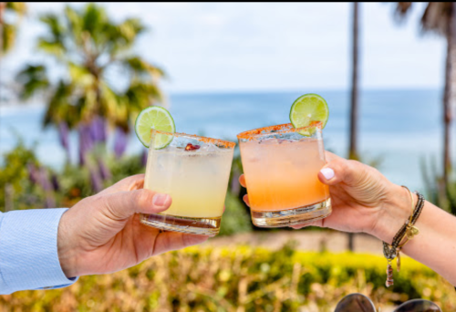 Two hands hold cocktails with lime slices, set against a scenic ocean view with palm trees in the background.