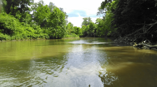 A serene river surrounded by lush green trees under a partly cloudy sky. Water reflects the greenery.