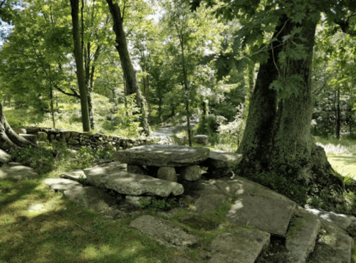 A serene outdoor scene featuring a stone table and benches surrounded by lush greenery and trees.