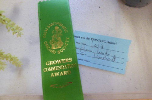 A green ribbon award from the New Hampshire Orchid Society for Growers Commendation, alongside a blue thank-you card.