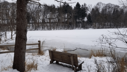 A snowy landscape featuring a frozen lake, a wooden bench, and trees in the background.