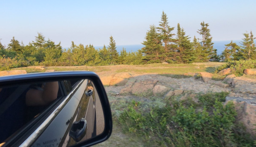 A scenic view of trees and ocean visible through a car's side mirror, with rocky terrain in the foreground.