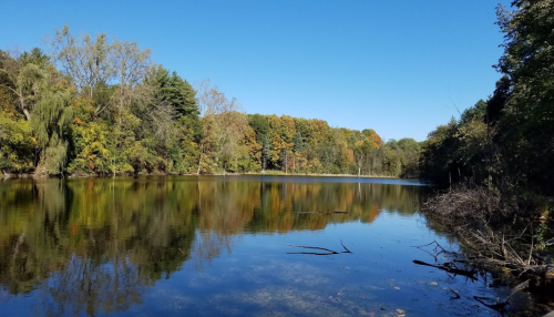 A serene lake surrounded by trees with autumn foliage under a clear blue sky. Reflections shimmer on the water's surface.