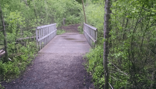 A wooden bridge over a path surrounded by lush greenery and trees in a natural setting.