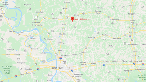 Map showing the location of Barn Hill Preserve near Baton Rouge, Louisiana, with surrounding towns and highways.