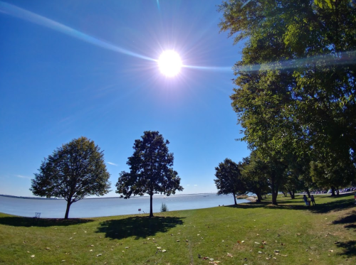 A sunny day by the water, with trees lining the shore and a clear blue sky.