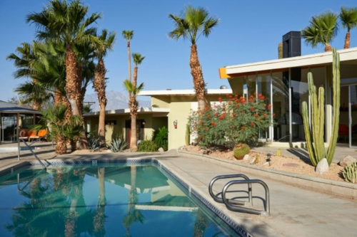 A modern pool area surrounded by palm trees and cacti, with a stylish house in the background under a clear blue sky.