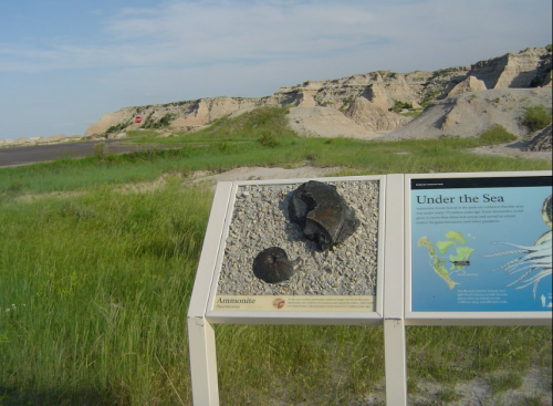 A sign displaying ammonite fossils in a grassy area, with rocky hills and a road in the background.