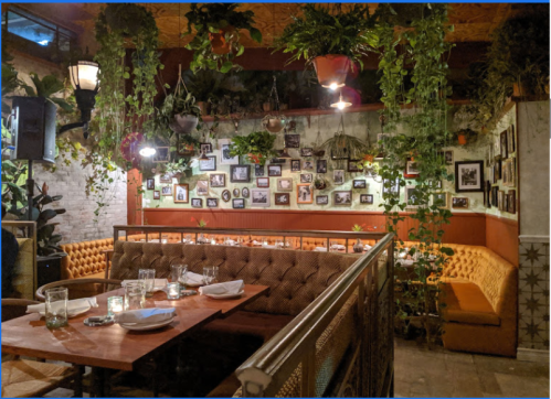 Cozy restaurant interior with green plants, framed photos on the wall, and a wooden dining table set for guests.