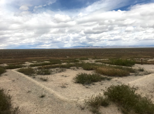 A vast, open landscape with sparse vegetation and a cloudy sky, featuring a rectangular outline in the foreground.