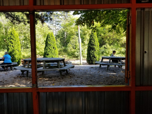 View through a window showing picnic tables in a wooded area, with people sitting and trees in the background.